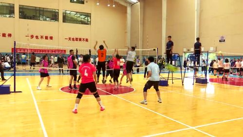 科技賦能，全民健身 免費開放引領健康新時代